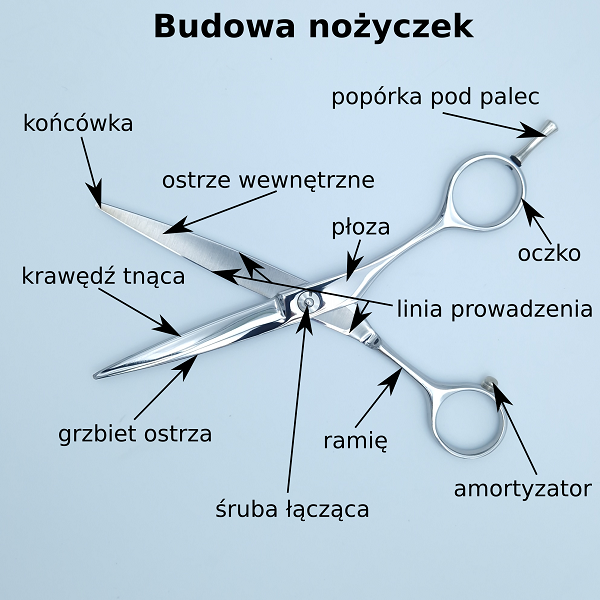 Jak zbudowane są nożyczki? Elementy budowy nożyczek.