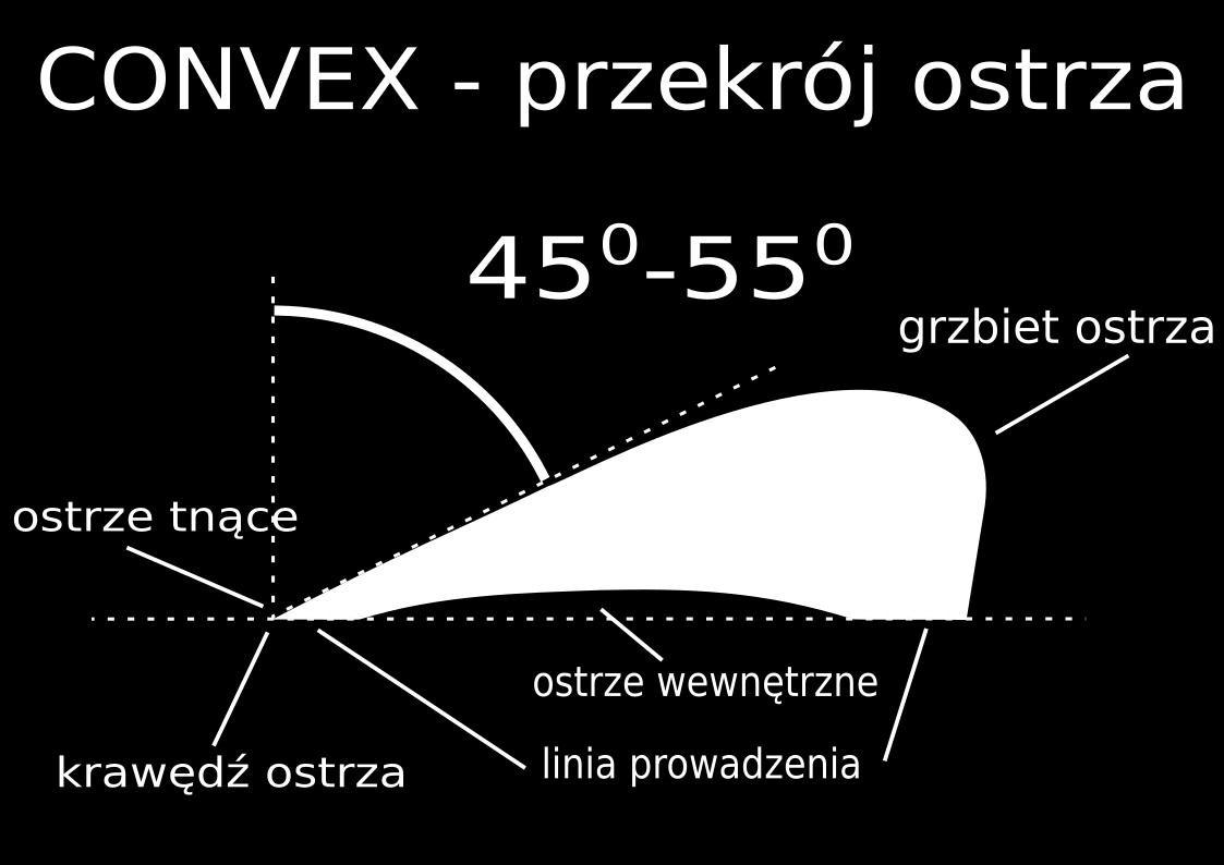 Przekrój i budowa ostrza nożyczek convex, nożyczek do ślizgu